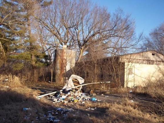 The proposed development site at West Sunshine Street and James River Freeway is blighted, according to city officials. 